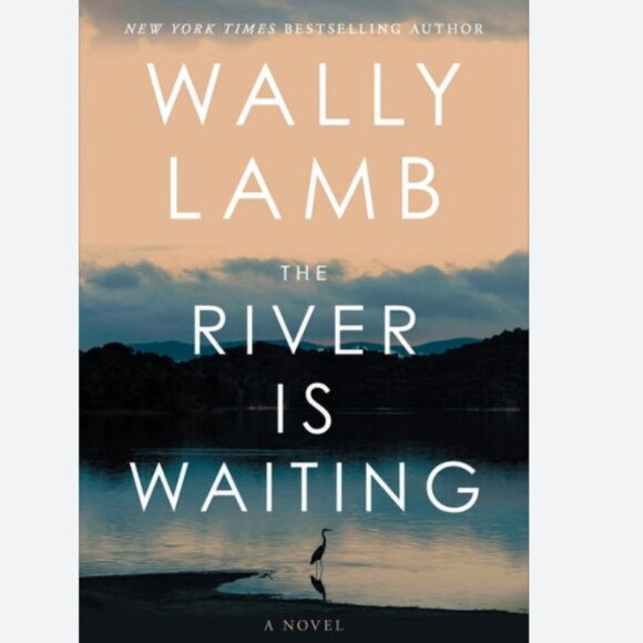 The River is Waiting Book by Author Wally Lamb, great condition. Best Seller - Picture 1 of 2